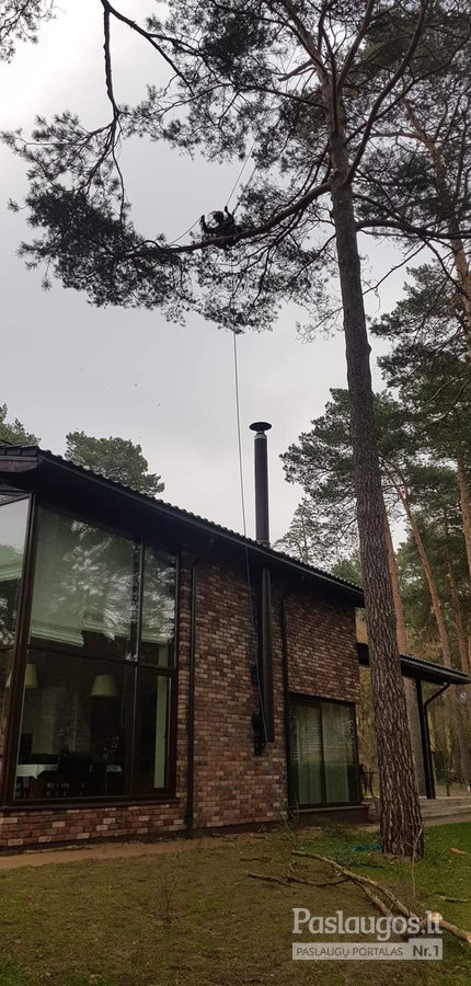 ArbCut atliktų darbų nuotrauka